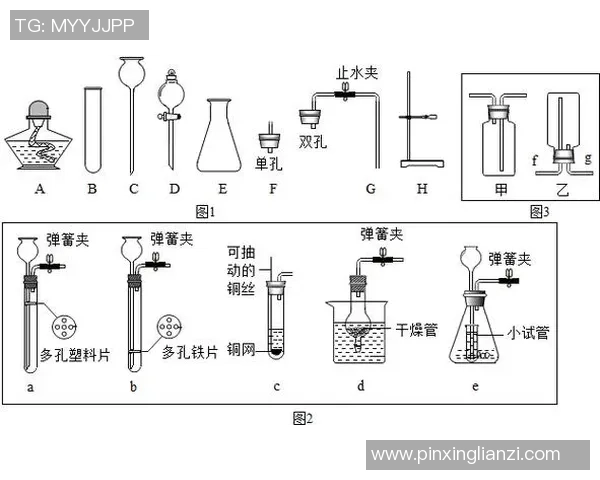重庆乒乓球队的战术创新与转换体系解析及其对比赛的影响