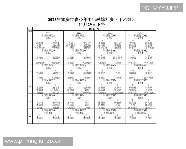 重庆羽毛球队与南京羽毛球队实力对比赛后分析与总结