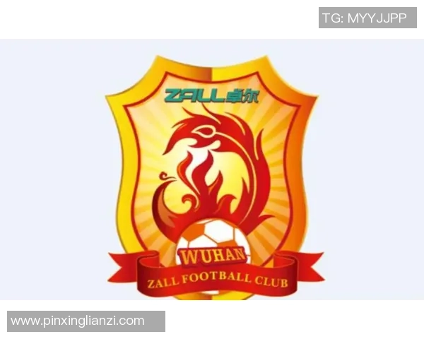 重磅专题：武汉乒乓球队的整体压制革新