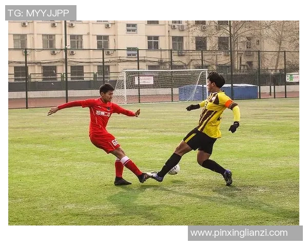 南京羽毛球队的力量变革引发热议探索新战略与未来发展方向 南京羽毛球队的力量变革引发热议探索新战略与未来发展方向